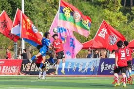 内格雷拉案对西甲联赛影响深远的商业价值分析