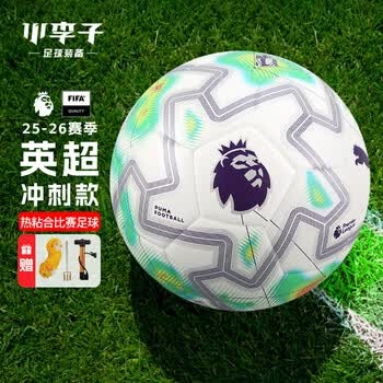 法甲J组全面分析：球队表现与未来展望
